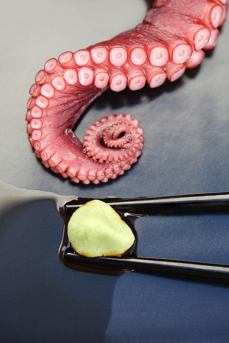 Close up of octopus and wasabi