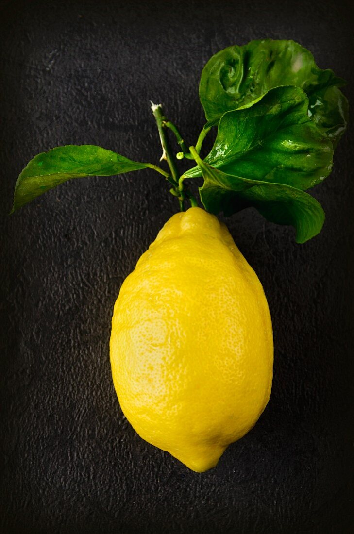 An Amalfi lemon with leaves