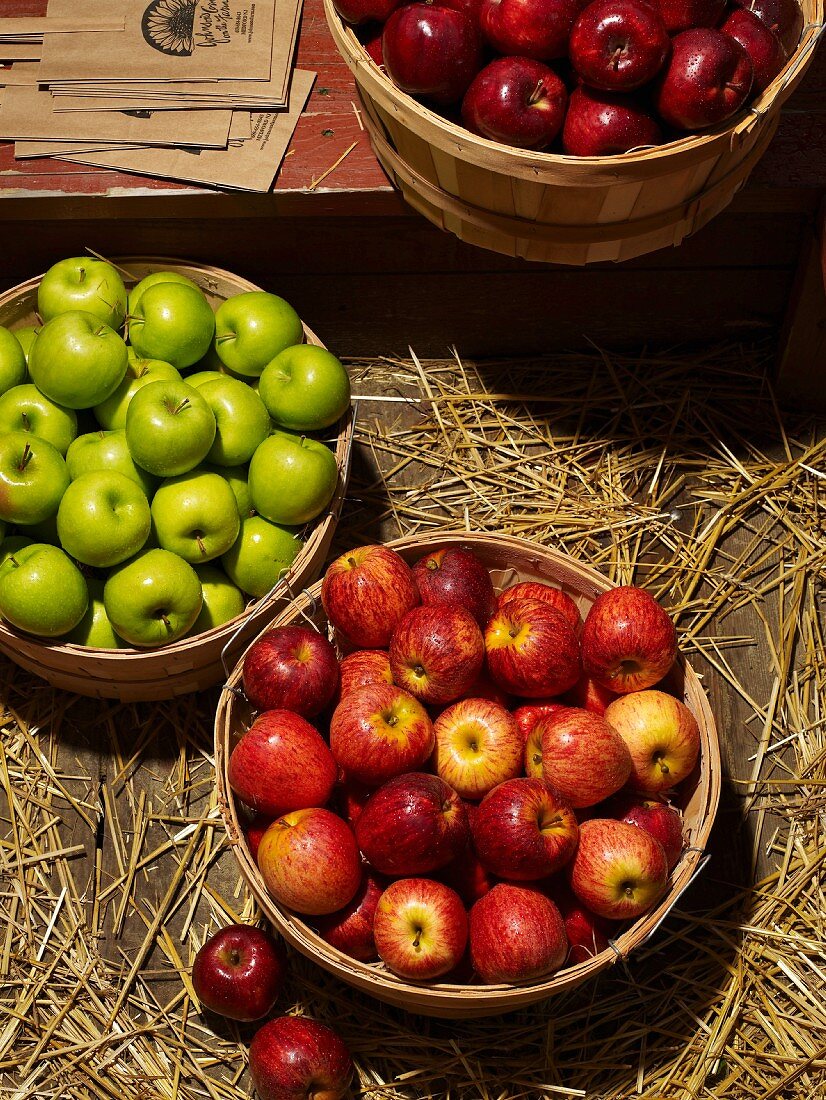 Verschiedene Apfelsorten in Holzkörben