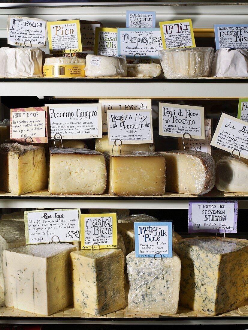Viele verschiedene Käsesorten in einem Regal