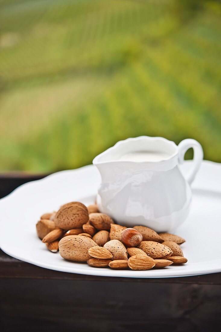 Assorted nuts and a jug of milk on a wooden table