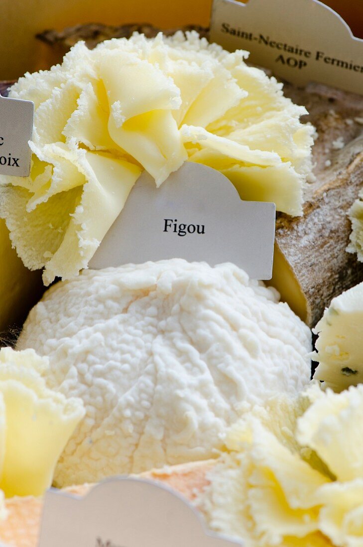 Figou (goat's cheese from France) and T