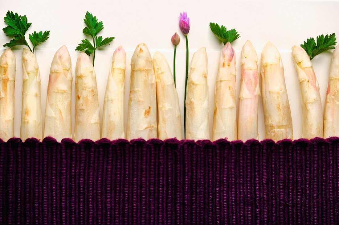 Stalks of white asparagus with parsley and chives
