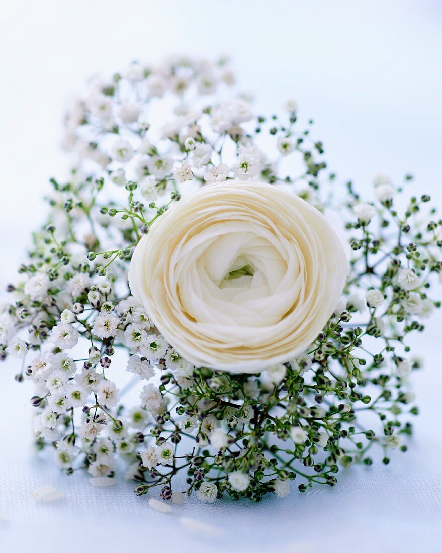 Baby's breath and a rose