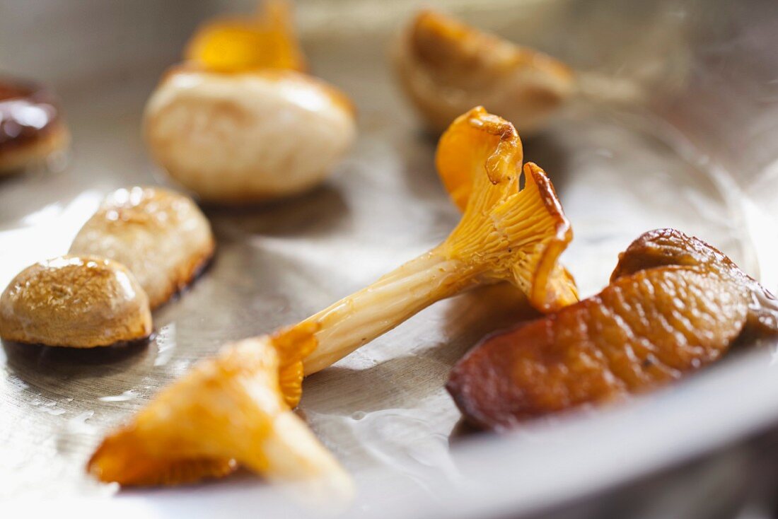 Mushrooms in a grill pan