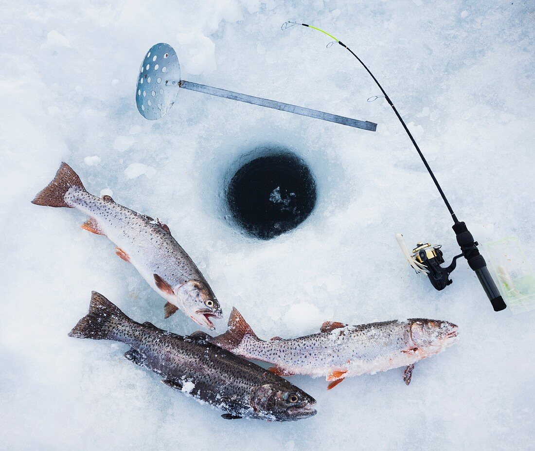 Zubehör fürs Eisfischen neben Eisloch & gefangenen Fischen