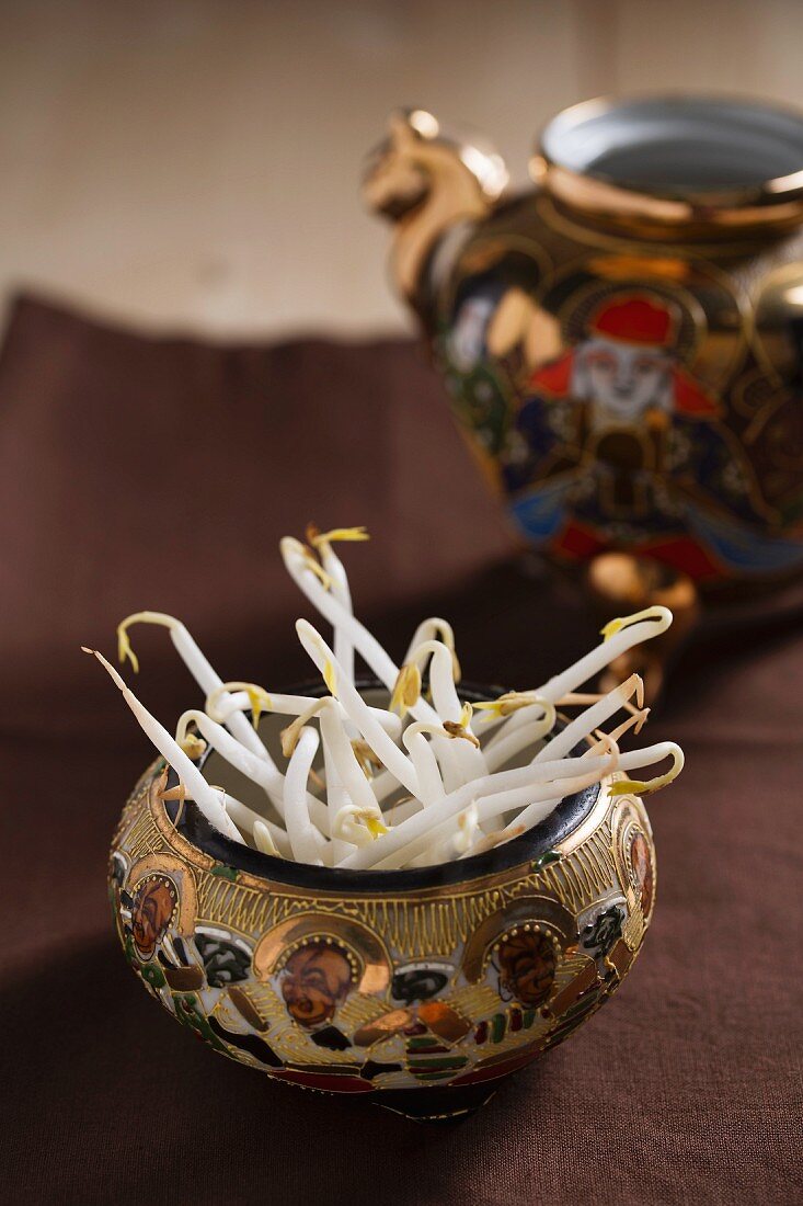 Bean sprouts in an oriental pot
