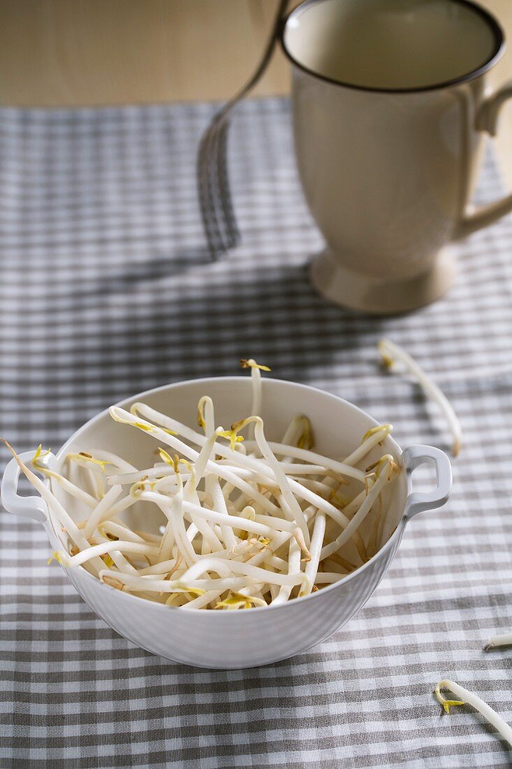 Bean sprouts in a small colander