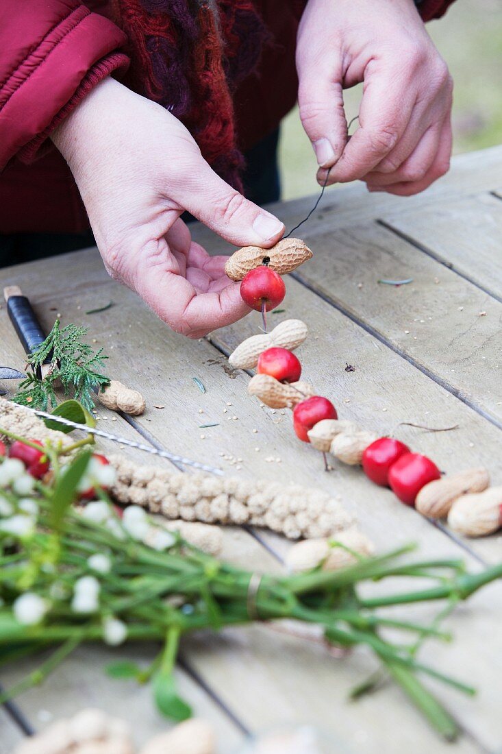 Threading crab apples and peanuts onto string