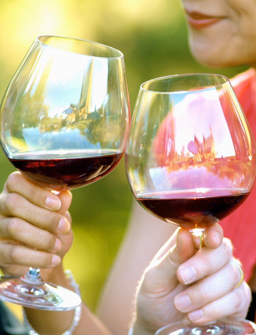 Paar trinkt Rotwein in einem Weinberg