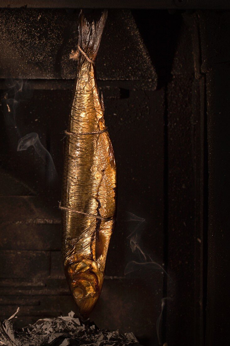 Smoked fish with smoke over dark background