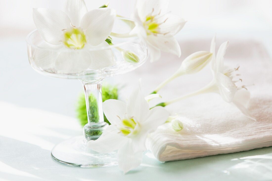 White lilies in stemmed glass bowl as table centrepiece
