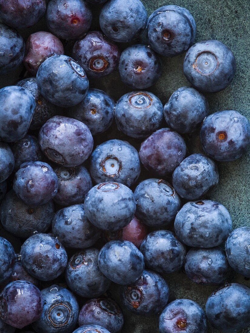 Frisch gewaschene Heidelbeeren (Close Up)