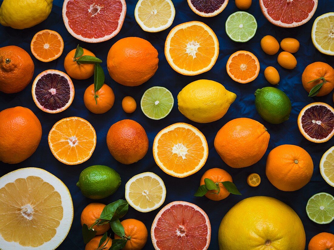 Overhead of cut and whole grapefruits, oranges, lemons, limes and kumquats on a dark blue material filling the frame