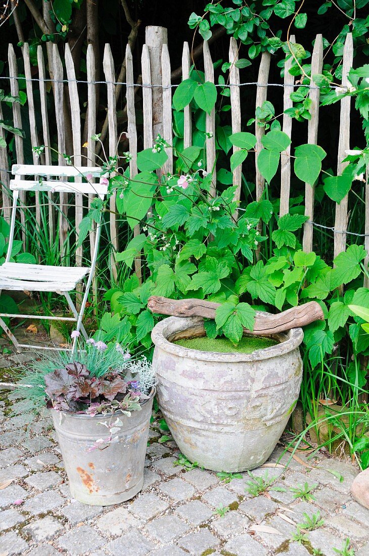 Garden arrangement of miniature pond in old terracotta pot & autumn plants in zinc bucket