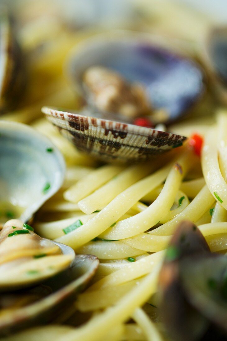 Taglierini with clams