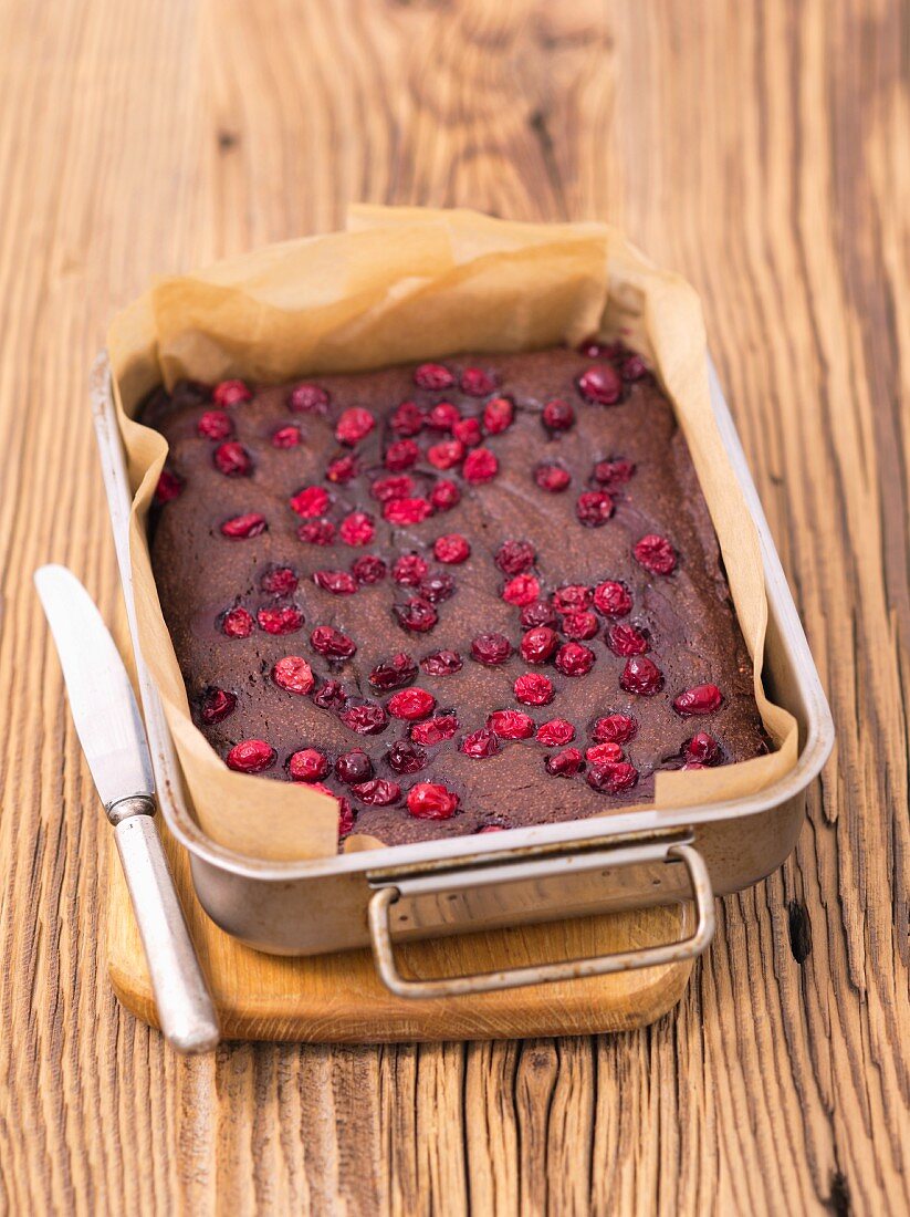 Schokoladenkuchen mit Cranberries einer Backform