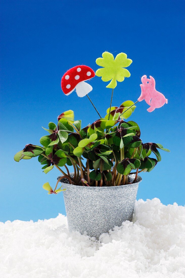 Lucky clover in a flower pot decorated with lucky symbols