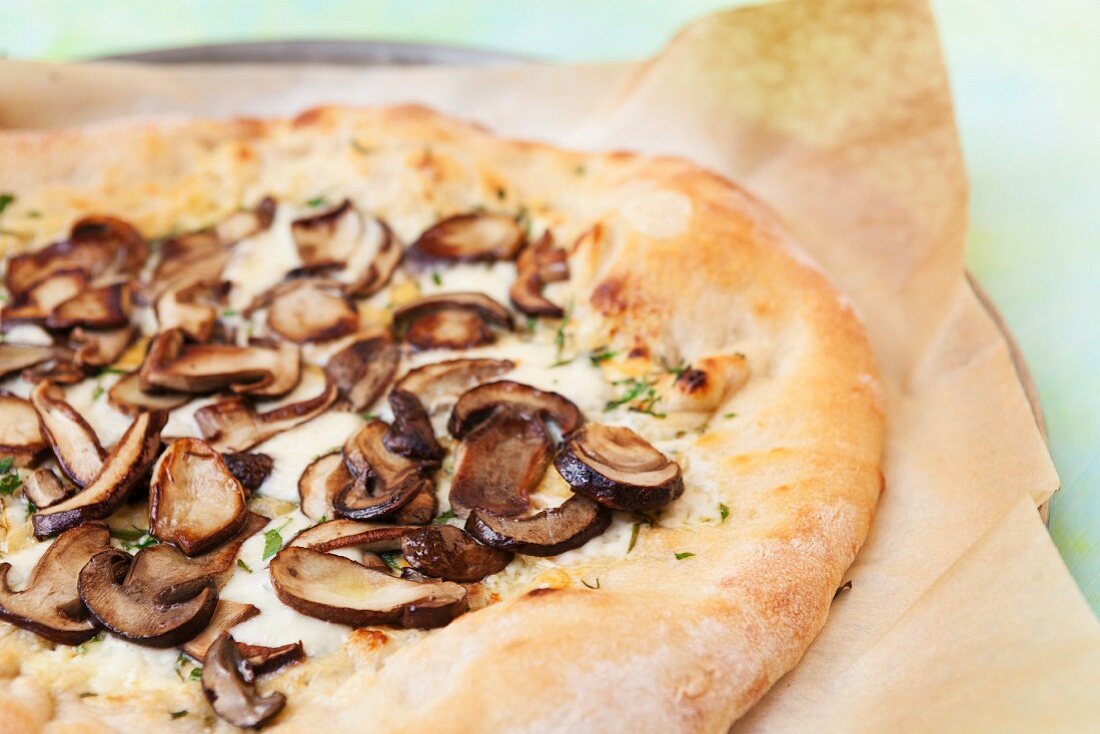 A cheese and mushroom pizza on baking paper