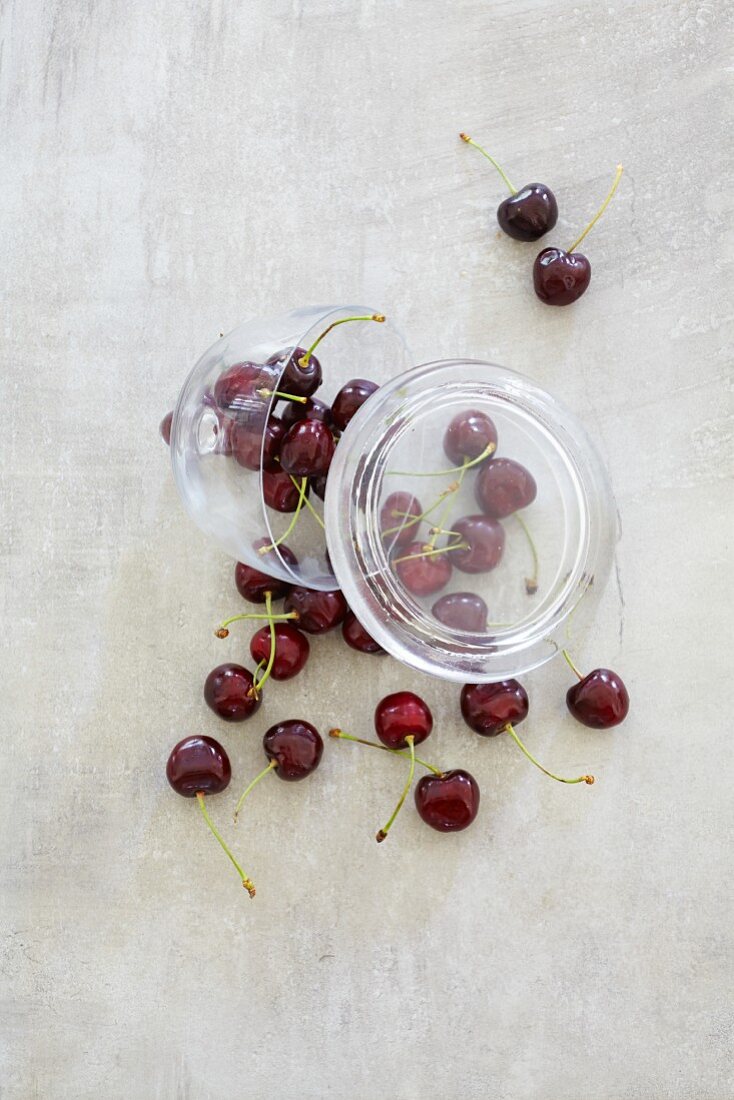 Fresh cherries falling out of a jar