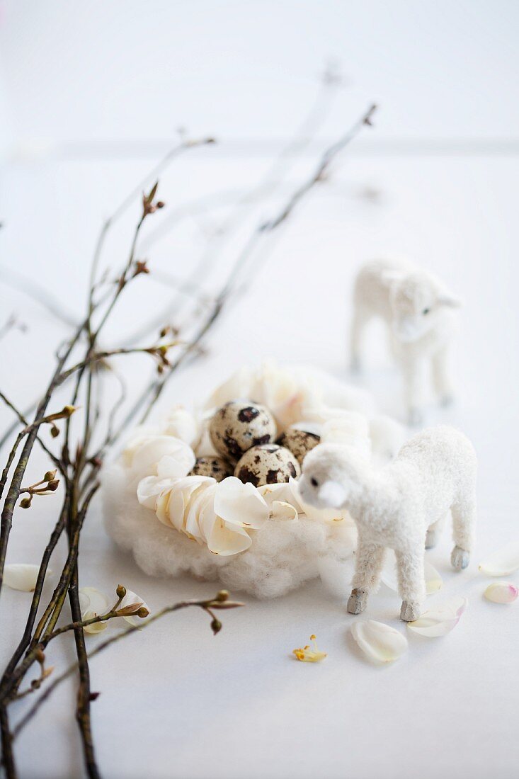 Quail eggs in Easter nest hand-crafted from cotton and threaded chamomile petals next to lamb figurines