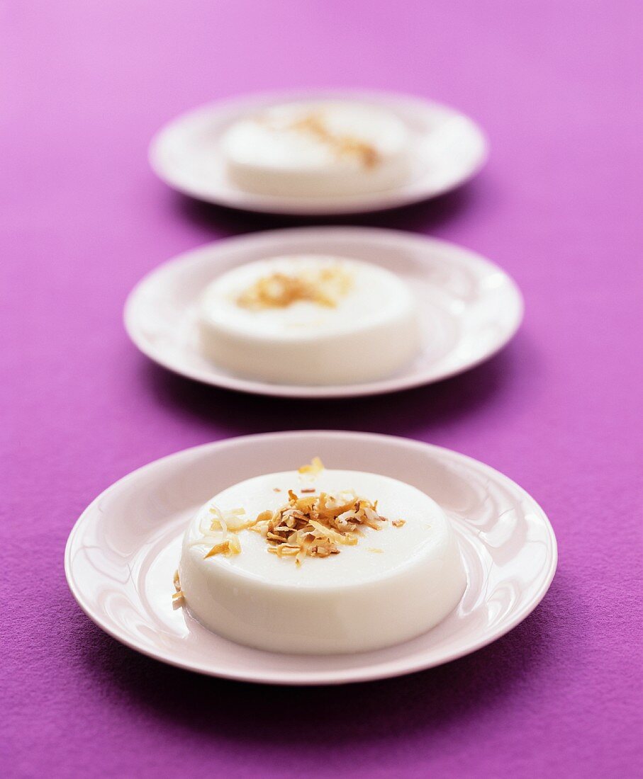 Coconut puddings with roasted grated coconut