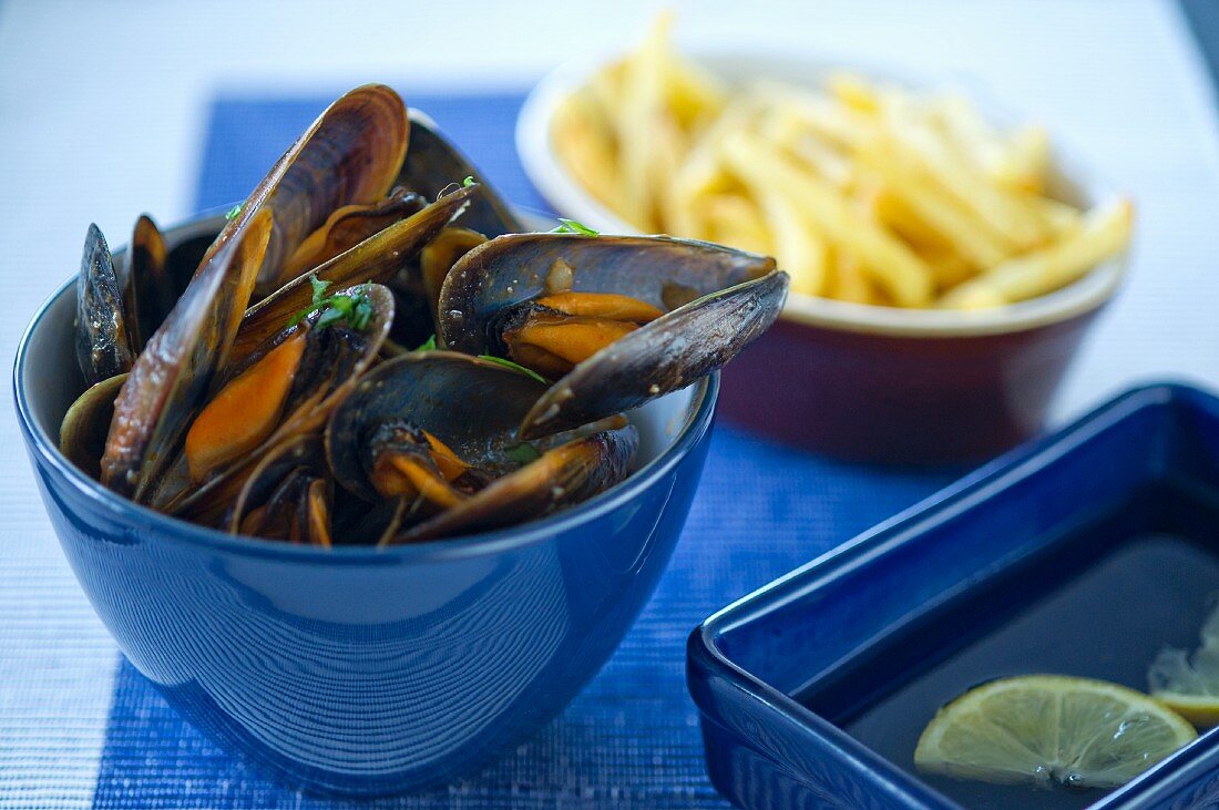 Miesmuscheln in Tomatensauce mit Pommes frites