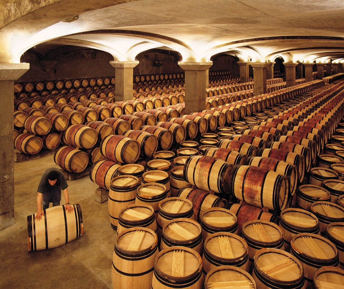 Mann rollt Fass im Weinkeller von Château Margaux (Margaux, Gironde, Frankreich)