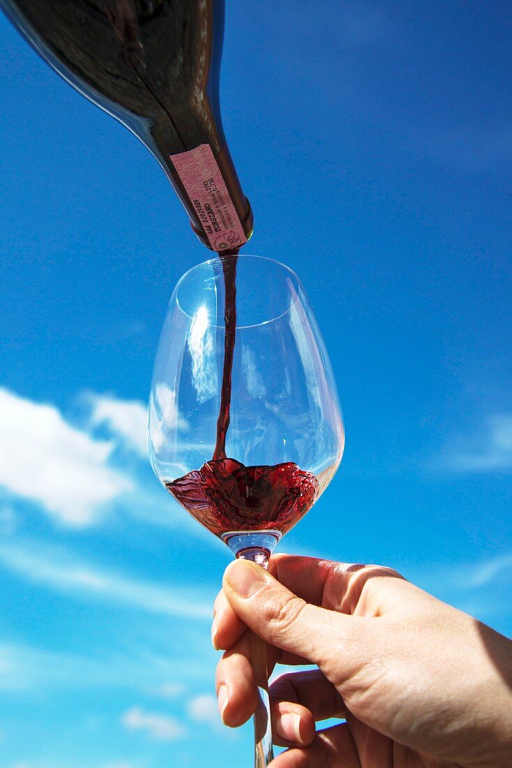 Lungarotti Rubesco Rotwein aus Flasche in Glas gießen (Torgiano, Umbrien, Italien)