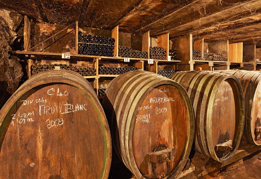 Weinfässer und Flaschen in altem Keller Caves Jean Bourdy, Arlay, Jura, Frankreich