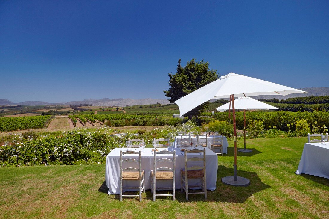 Gedeckte Tische für das Mittagessen im Garten von Elgin Ridge, Elgin, Western Cape, Südafrika
