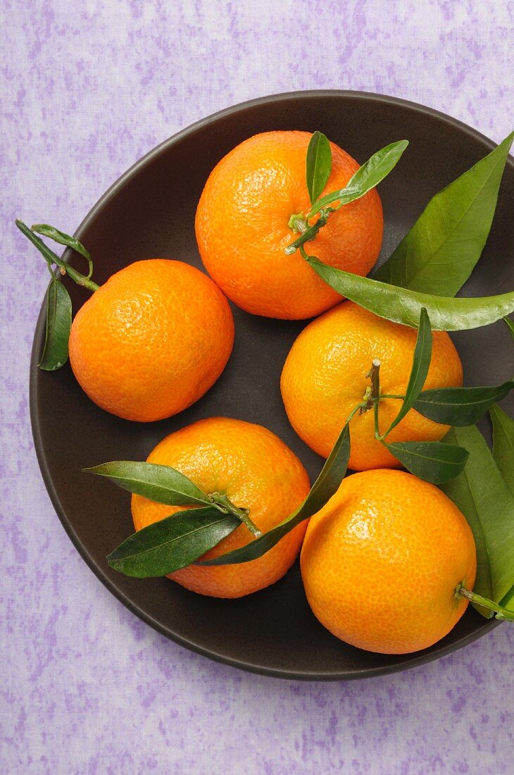 Mandarinen mit Blättern in einer Schüssel