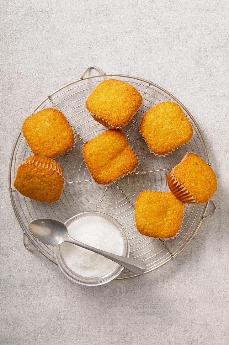 Madeleines and a bowl of sugar on a wire rack