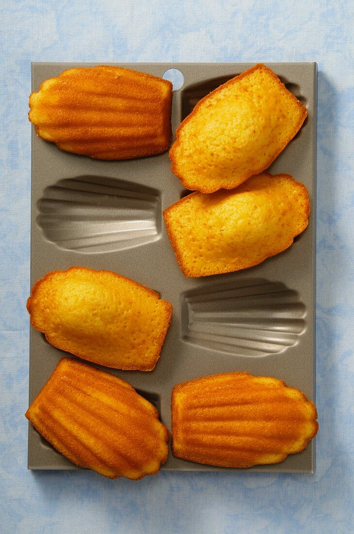Madeleines in the baking tin