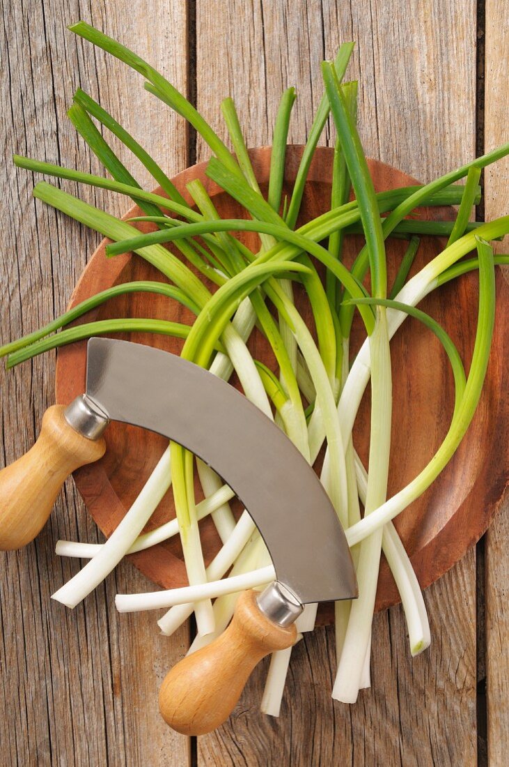 Spring onions on a wooden plate with a mezzaluna knife