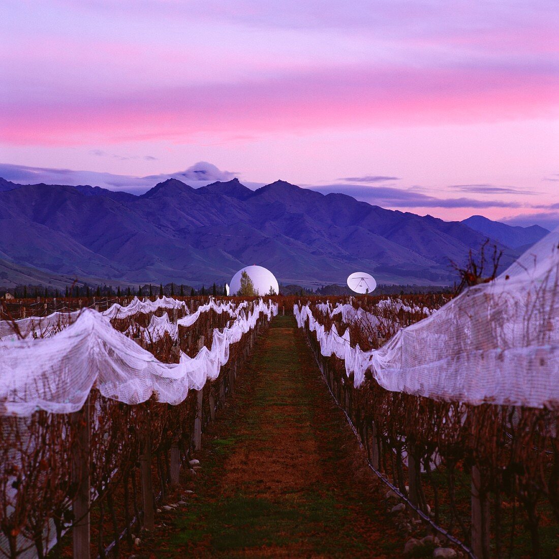 Weinberg von Tohu und Radarstation im Waihopai Valley, Marlborough, Neuseeland