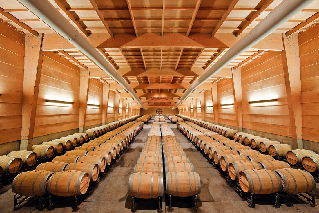 Lagerraum für Weinfässer im 1. Jahr im Almaviva Weingut, Maipo Valley, Chile