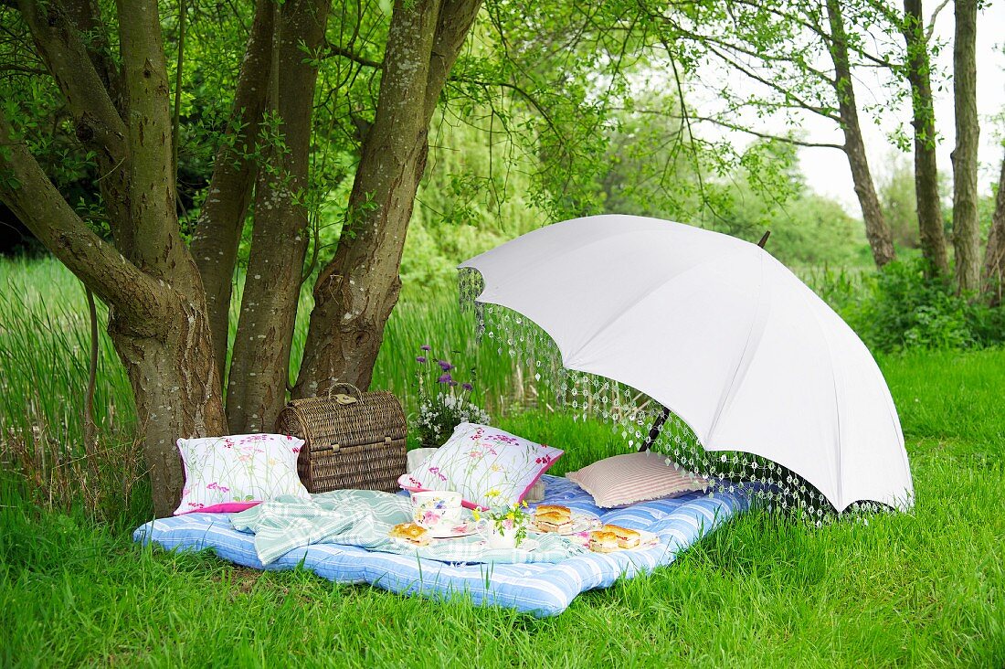 Food and crockery on picnic blanket below open parasol below tree