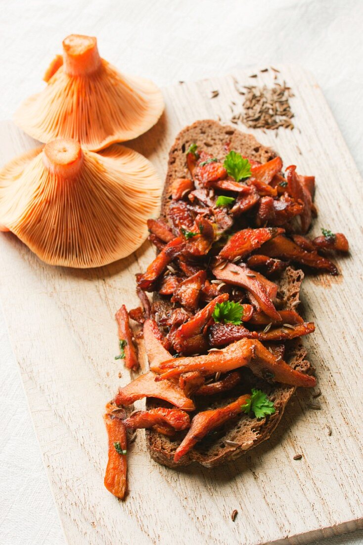 Fried red pine mushrooms with caraway on a slice of country bread