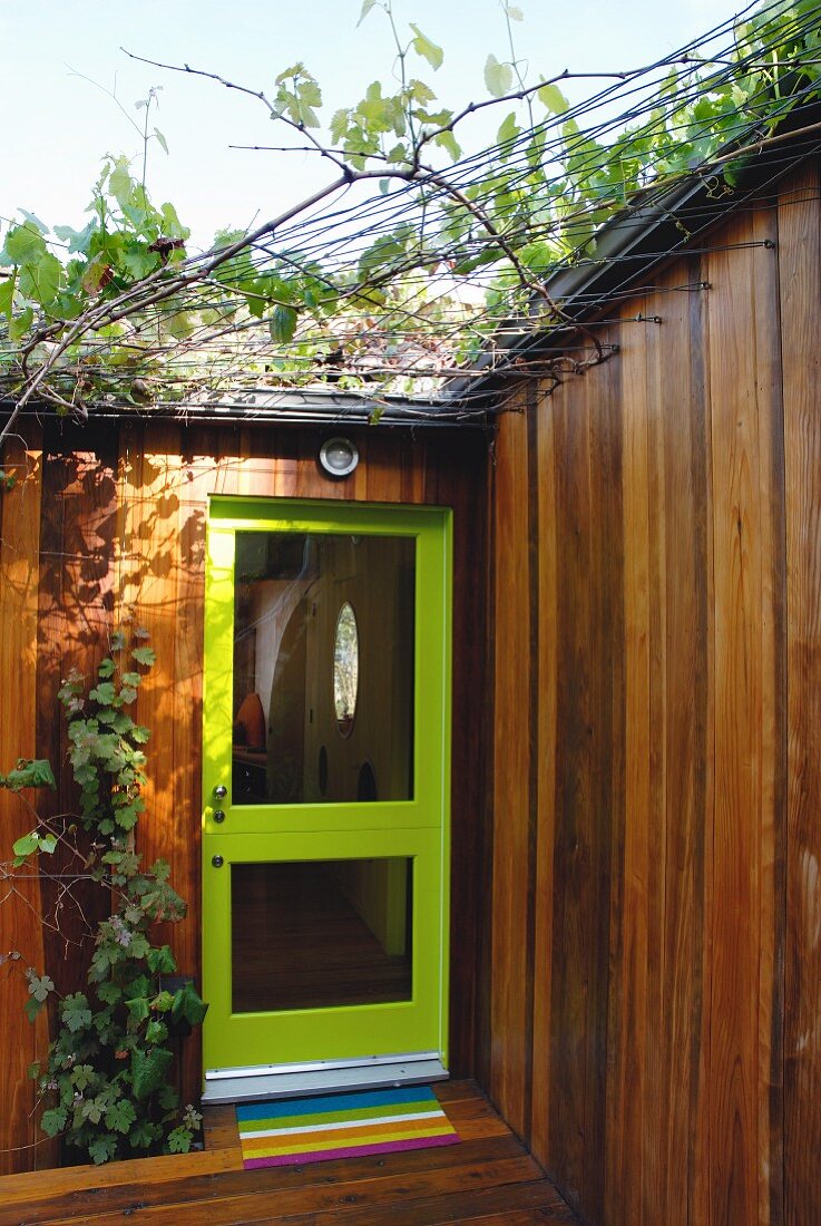 Front door with green frame and glass panels in modern, wooden house with climbers supported on trellising