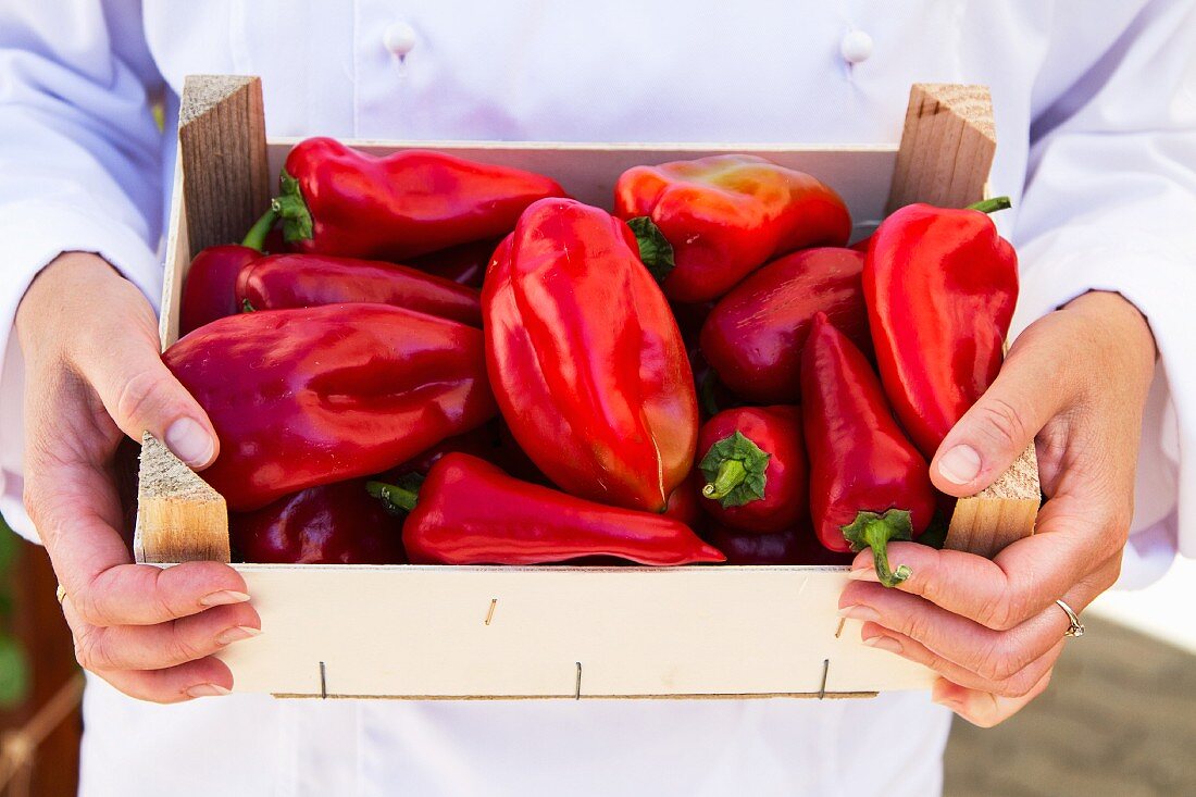 A chef holding a crate of red peppers