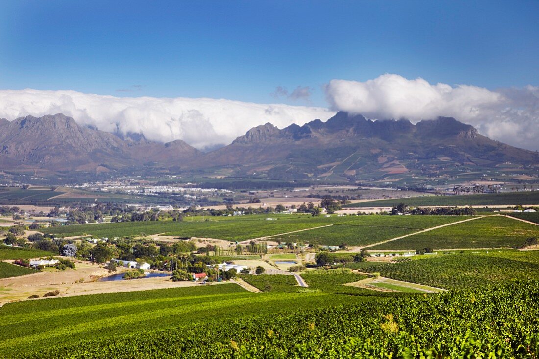 Blick von den Weinbergen in den Polkadraai Hills Richtung Stellenbosch und dem Helderberg (Western Cape, Südafrika)