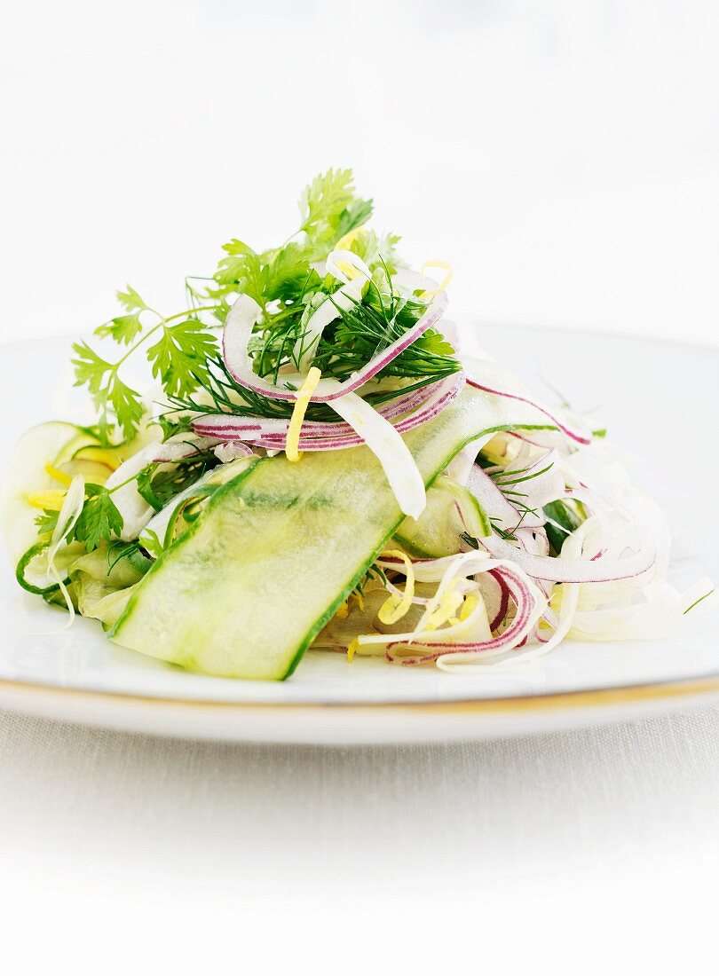 Mixed leaf salad with cucumber, onions and coriander