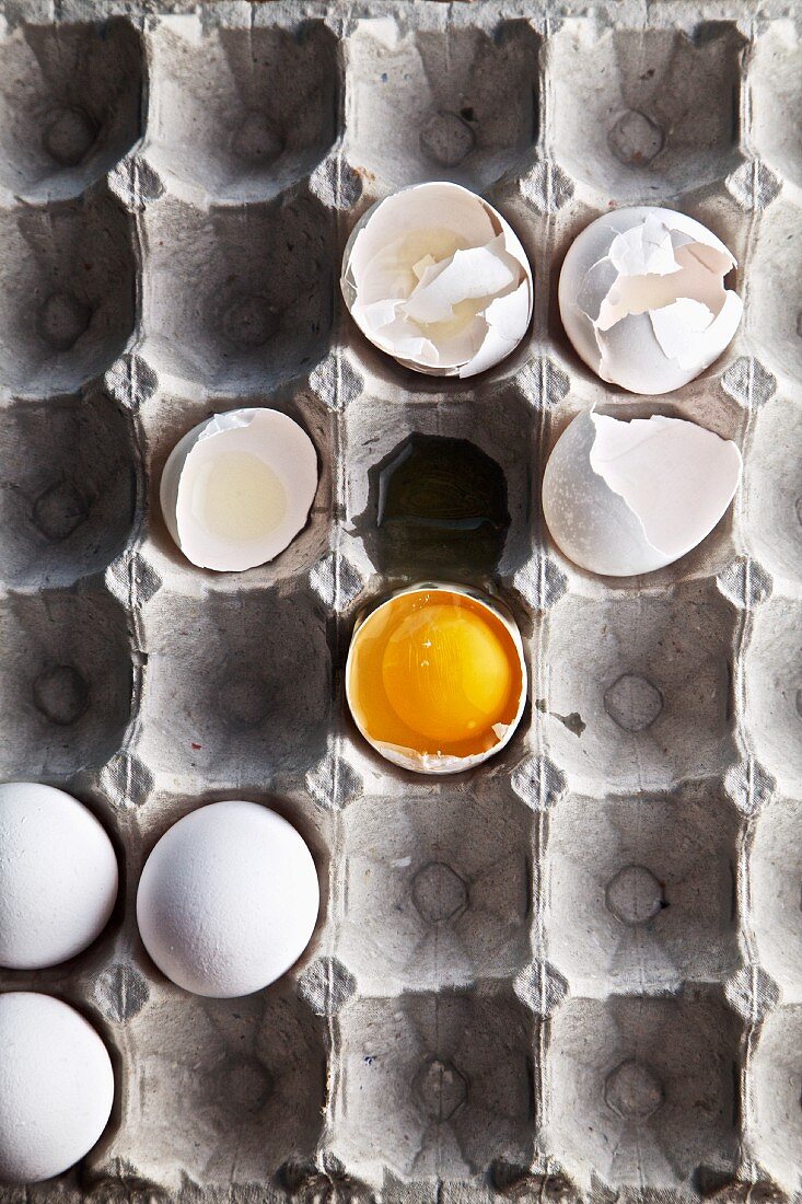 Eierpalette mit Eierschalen, aufgeschlagenem Ei & ganzen Eiern