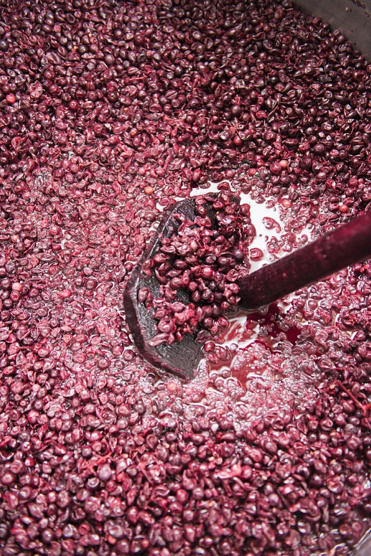 Red wine being made: punching the cap