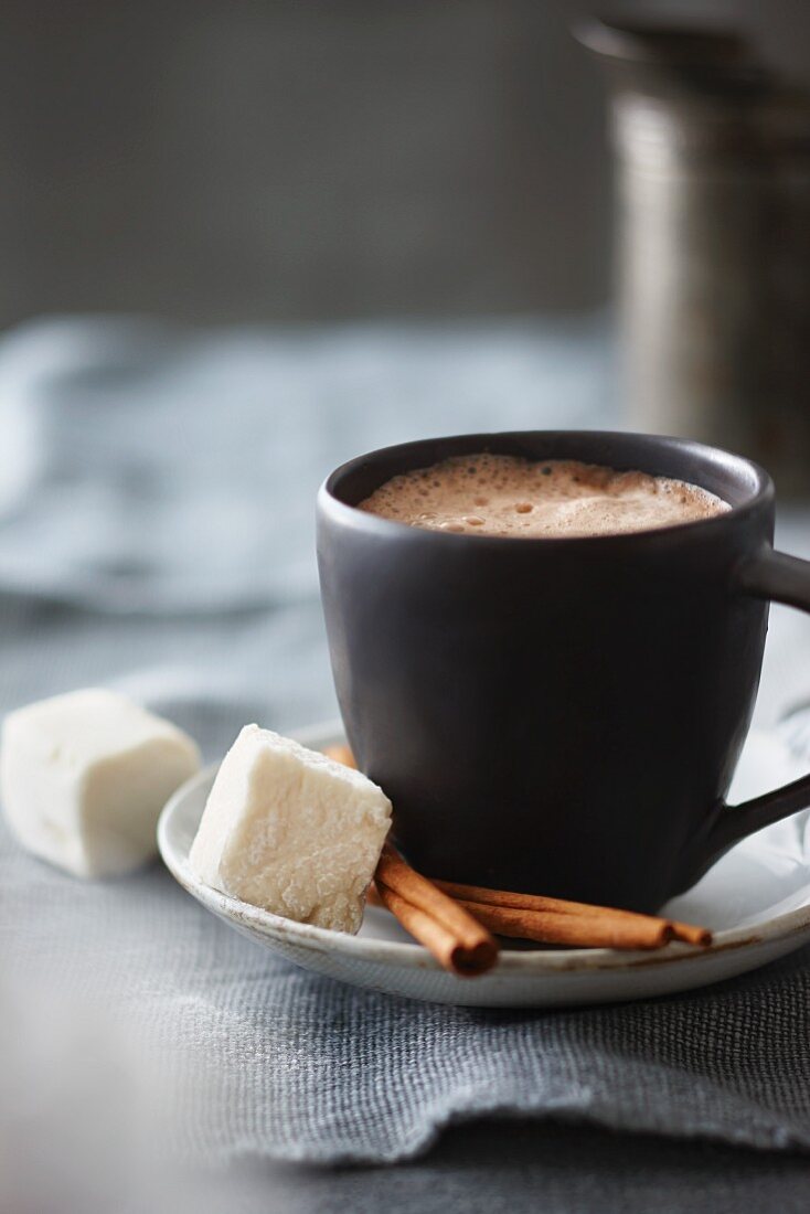 Eine Tasse heißer Kakao mit Marshmallows und Zimtstangen