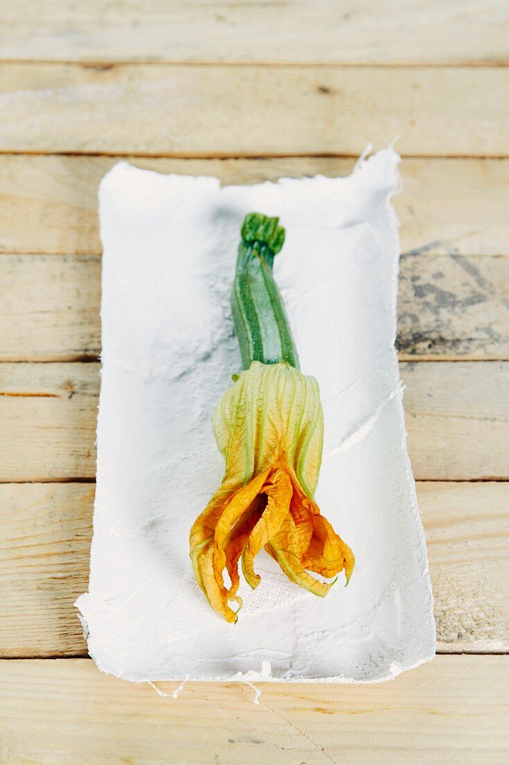 Courgette with flower