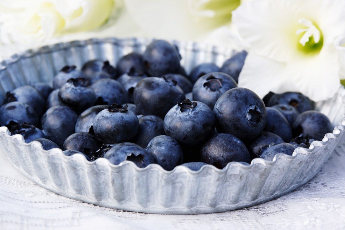 Fresh blueberries on a zinc plate