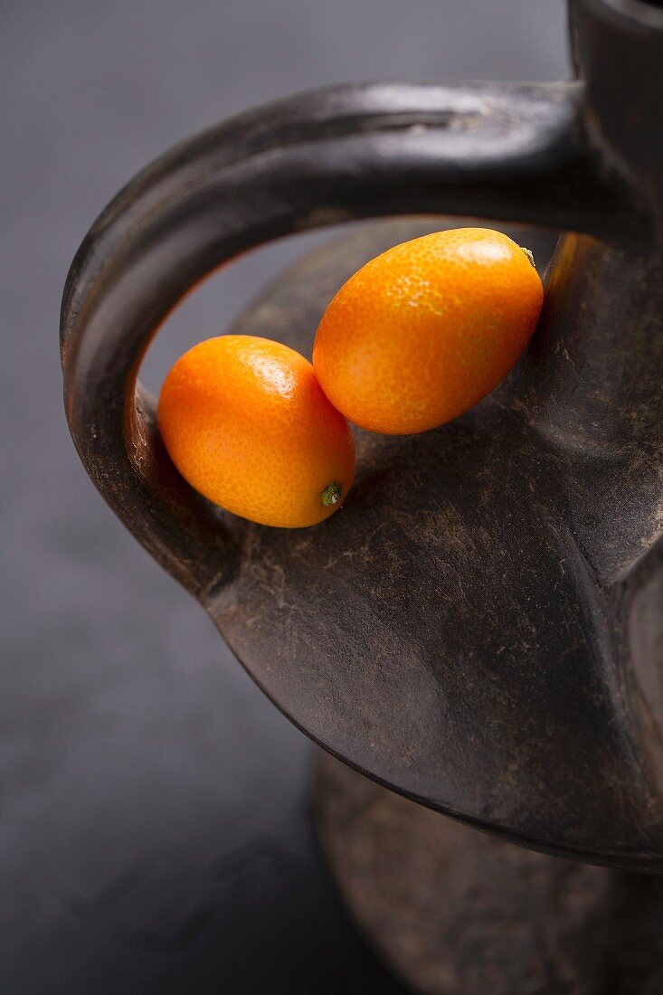 Zwei Kumquats im Henkel eines Tongefässes