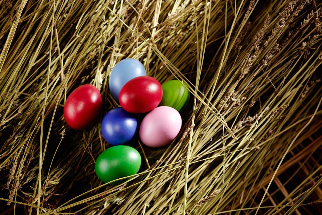 Colourful Easter eggs in straw